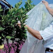 Les voiles d'hivernage sont une solution idéale pour protéger les plantes durant l'hiver. Voile D Hivernage 2 X 5 M Gamm Vert Pochette Plastifiee Gamm Vert
