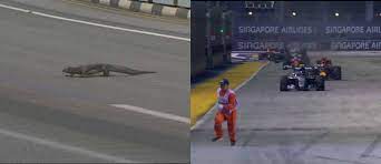 See more ideas about grand prix, formula 1, formula one. The Best Memes And Photoshops From The Singapore Grand Prix