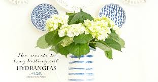 We'll mail them to you! The Secrets To Long Lasting Cut Hydrangeas On Sutton Place