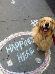 Pure Joy Smiling Golden Retriever Dog Happiness Here The Simple Things Bring The Most Happiness Golden Retriever Happy Dogs Dogs
