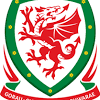 Gareth frank bale؛ مواليد 16 يوليو 1989) هو لاعب كرة قدم ويلزي يلعب في مركز الجناح الهجومي مع نادي توتنهام هوتسبير في الدوري الإنجليزي الممتاز، بنظام الإعارة من ريال مدريد، وهو قائد منتخب ويلز لكرة القدم. 1