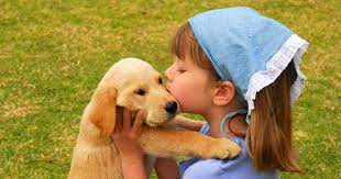 But hey, if it makes you happy you can still consider yourself 25% dog! Dogs And Humans Share Dna Thanks To Viruses