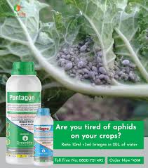 GREENLIFE CROP PROTECTION AFRICA ...