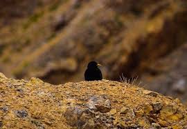 Ladakh Road Trip Itinerary Stories And Madness Of 10 Days On The Road Road Trip Itinerary India Travel Guide India Travel Places