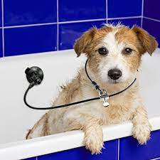 Pin On Doggie Gear Gadgets