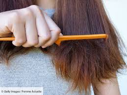 Cheveux Fourchus 3 Astuces Maison Pour Les Supprimer En 2020 Cheveux Fourchus Masque Cheveux Maison Cheveux Secs