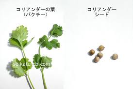 コリアンダー パクチーの使い方とよく合う料理 生活知恵袋