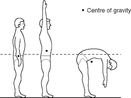 The Center Of Gravity Archives Karatecoaching Kettlebell Training Biomechanics Study Kettlebell