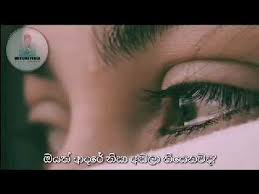 We did not find results for: Duka Hithena Kathawak Youtube