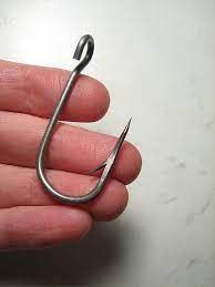 My Fish Hook Lenore Edman Cc By How To Make Fish Fish Hook Essay Prompts