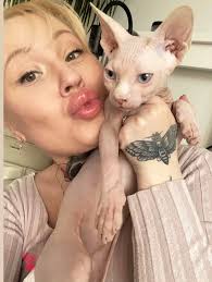 I've joined the Maine Coon club with this little kitty 😂 I've already got  Siamese and Sphynx but this is the first Maine Coon ❤️ Burton