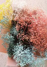 Rainbow Babies Breath Easter Centerpiece Blissmakes Com Dried Flowers How To Preserve Flowers Flowers