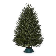 Modern christmas trees, our collapsible trees are easy to set up, take down, and store. 7 8 Ft Fraser Fir Real Christmas Tree In The Fresh Christmas Trees Department At Lowes Com