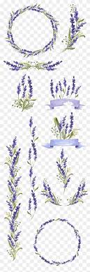 White and purple garden flowers painted all around. Orange Yellow And Green Floral Illustration Floral Design Illustration Painted Plants Watercolor Painting Flower Arranging Leaf Png Pngwing