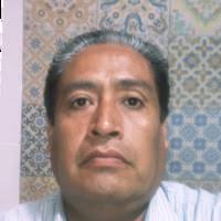 40+ "Delfino" profiles