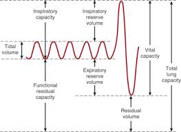 lung capacity an overview sciencedirect topics