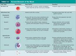 Transport of dissolved substances, regulation of ph and ions, restriction of fluid losses at injury sites, defense against toxins and pathogens, stabilization of body temperature. Formed Elements Blood