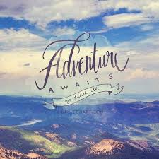 Expeditiontrips Cruises And Tours From Antarctica To Galapagos Adventure Quotes Adventure Adventure Travel