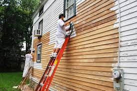 Lead Paint Removal | How To Remove Lead Paint Safely