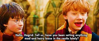 115 funny harry potter one liners. What Are Some Of The Funniest Quotes By Ron In Harry Potter Books Quora