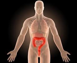 Dr Adrian Mancini chirurgien viscéral