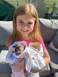 Friends With Paws Pet...