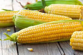Check spelling or type a new query. 9 Manfaat Jagung Untuk Ibu Hamil
