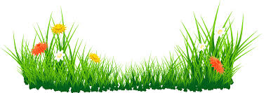Diy Home Decorations Blog Great Easter Day Promotion Up To 90 Off You Will Save A Lot Via R Homedecorating Grass Clipart Grass Flower Grass