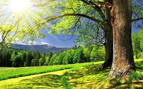 Maybe you would like to learn more about one of these? Images De La Belle Nature D Ete 100 Photos Pour Votre Bureau