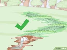 Don't let their soil dry out. 3 Ways To Prepare Soil For Fruit Trees Wikihow