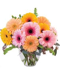 We are one of the leading international. Gerbera Dreams Floral Design In South Milwaukee Wi Parkway Floral Inc