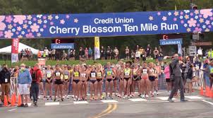 Credit Union Cherry Blossom 10 Mile Run