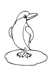 Ausmalbild Kleiner Pinguin Auf Eisscholle Zum Ausdrucken