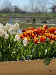 Maybe you would like to learn more about one of these? Prepping For Your Spring Garden What You Need To Know Wrgt