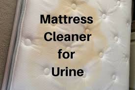 Lots of people swear by corn starch as a means to clean urine from a mattress, including its smell. Mattress Cleaner For Urine Remove Urine Smell Urine Smells Mattress Cleaner