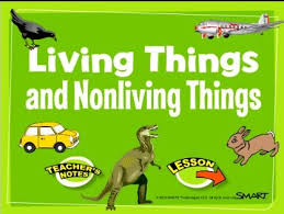 Grade 6 Science The Diversity Of Life Preschool Technology Smart Board Activities Smart Board Lessons