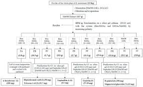 Image result for Eriosema montanum