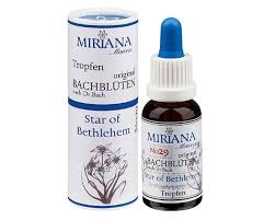 Star Of Bethlehem Star Of Bethlehem 29 Miriana Flowers 10ml