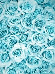 We hope you enjoy our growing collection of hd images to use as a background or home screen for. Blue Background Tumblr Googlesack