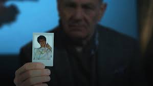 Prime Video: Crime Files with David Wilson