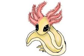 For each, enclose a small oval within a larger one, and shade between them. How To Draw A Chibi Axolotl Drawingnow
