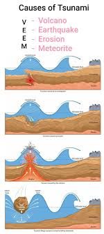Pin By Navin Sahay On Geography In 2020 Tsunami Earthquake Geography