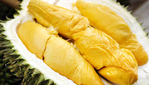 Mengikut chung ting bun dari pulau raya, pohon durian raja kunyit ditanam oleh moyangnya sekitar tahun 1800. Bisa Dipanen Di Indonesia Makan Durian Musang King Tak Harus Ke Malaysia