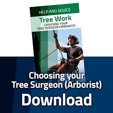 Arborist standards tree service offers a full line of tree care, tree trimming, removals, storm prevention, firewise trimming, and much more! Tree Work Help And Advicehelp And Advice