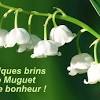 De jolies petites coccinelles à réaliser avec les petits des empreintes de mains pour les ailes et quelques le muguet (convallaria majalis) ou lis des vallées, avec ses clochettes immaculées, est le symbole du 1er mai. Https Encrypted Tbn0 Gstatic Com Images Q Tbn And9gct2qmecmtic5kksgtl3n5dunr20busrryvasepynojhvecy7ags Usqp Cau