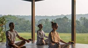 果阿什姆度假村美爵酒店 坎多林 印度 resort da nang india travel