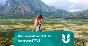 Bisa dilihat secara eksklusif dari gardu pandang, puncak, jalan, atau di lokasi taman pusuk sembalun ini. 5 Destinasi Wisata Sembalun Yang Dijamin Bikin Kamu Terpukau Kumparan Com