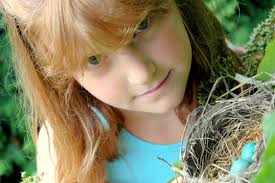 150+ Innocent Robin Stock Photos, Pictures & Royalty-Free Images