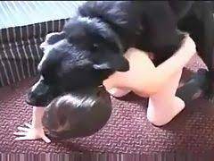 pin on pets