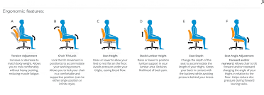 Image result for Sitting Height